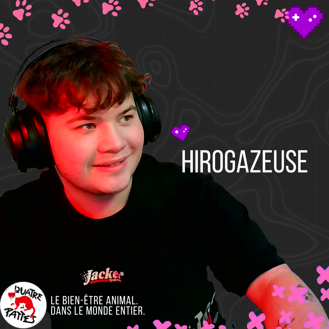 Hirogazeuse